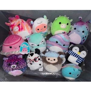 Squishmallow Bundle of 12